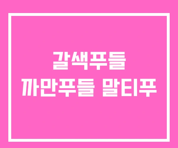 갈색푸들 까만푸들 말티푸 갈색푸들 까만푸들 말티푸