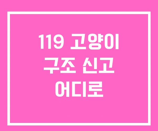 119 고양이 구조 신고 어디로