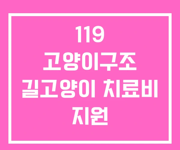 119 고양이구조 길고양이 치료비 지원 119 고양이구조 길고양이 치료비 지원