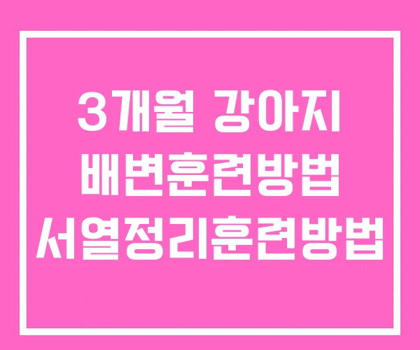 3개월 강아지 배변훈련방법 서열정리훈련방법