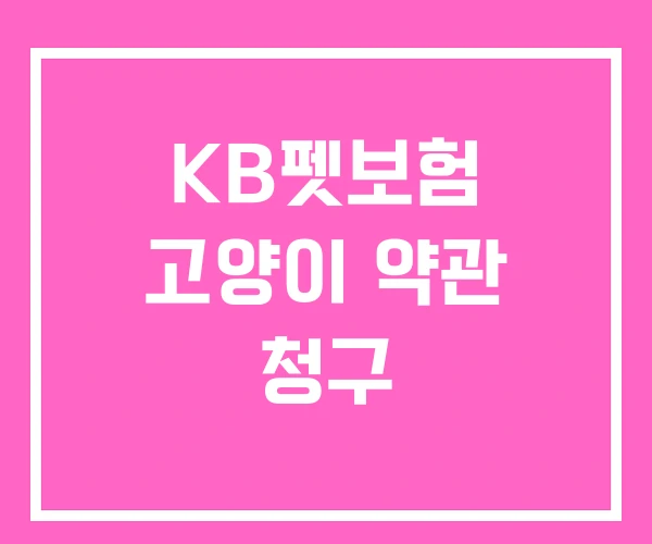 KB펫보험 고양이 약관 청구 KB펫보험 고양이 약관 청구