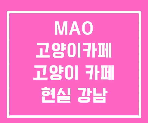 MAO 고양이카페 고양이 카페 현실 강남