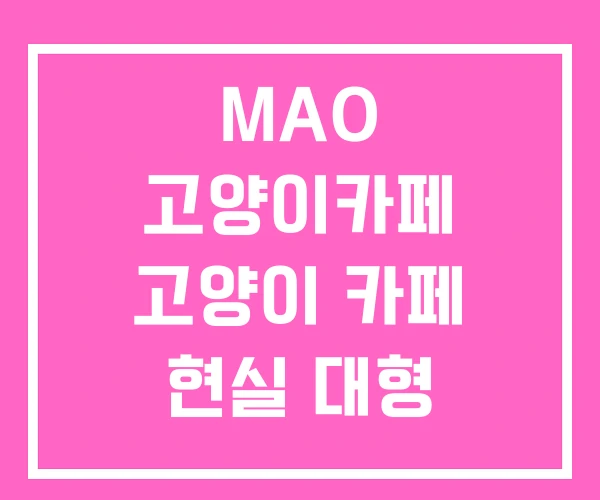 MAO 고양이카페 고양이 카페 현실 대형