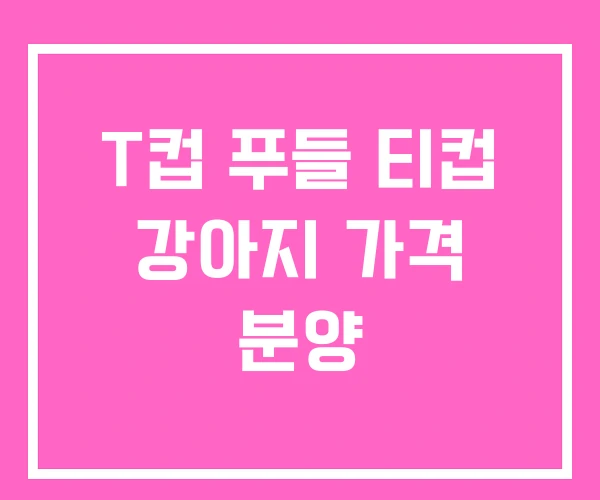 T컵 푸들 티컵 강아지 가격 분양 T컵 푸들 티컵 강아지 가격 분양