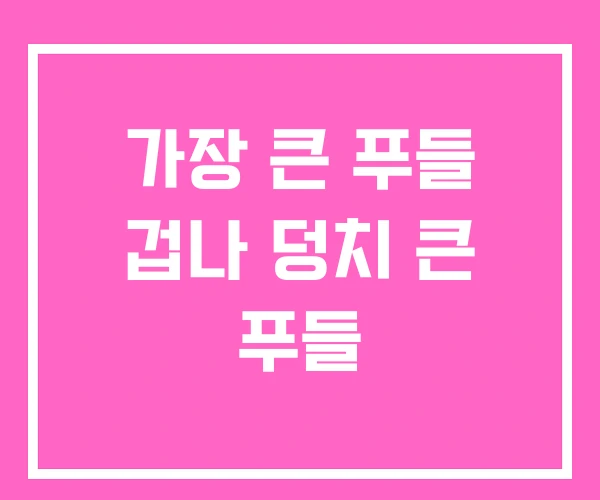 가장 큰 푸들 겁나 덩치 큰 푸들