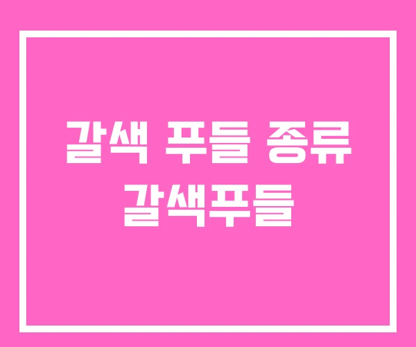 갈색 푸들 종류 갈색푸들 갈색 푸들 종류 갈색푸들
