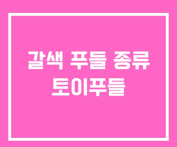 갈색 푸들 종류 토이푸들