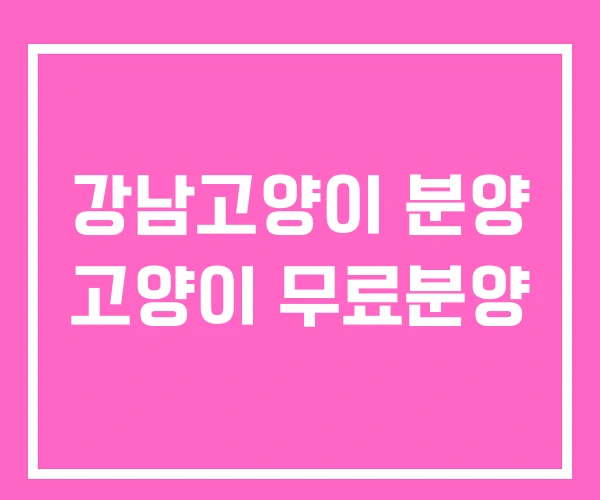 강남고양이 분양 고양이 무료분양