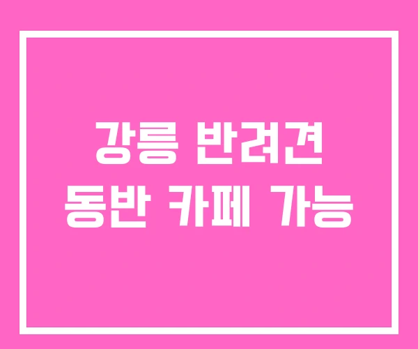 강릉 반려견 동반 카페 가능