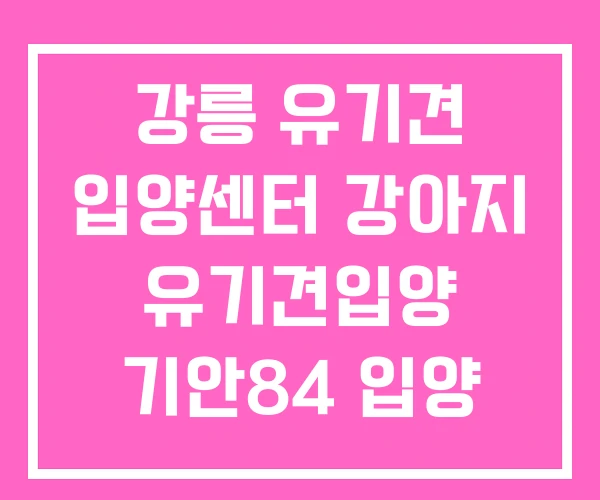 강릉 유기견 입양센터 강아지 유기견입양 기안84 입양