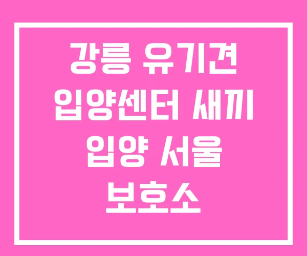 강릉 유기견 입양센터 새끼 입양 서울 보호소