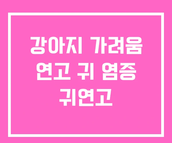 강아지 가려움 연고 귀 염증 귀연고