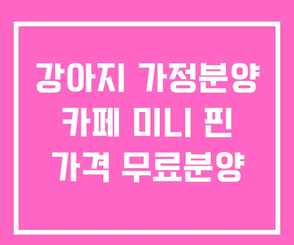 강아지 가정분양 카페 미니 핀 가격 무료분양