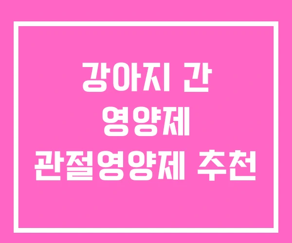 강아지 간 영양제 관절영양제 추천