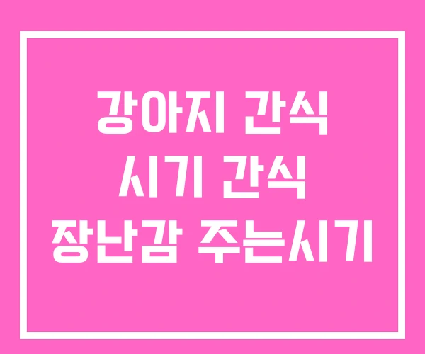 강아지 간식 시기 간식 장난감 주는시기
