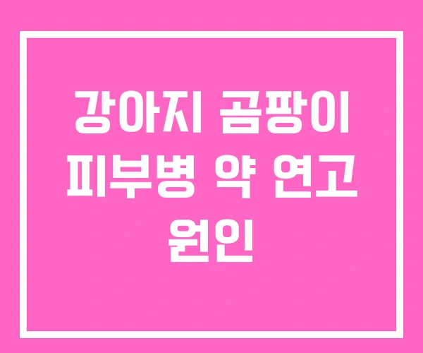 강아지 곰팡이 피부병 약 연고 원인