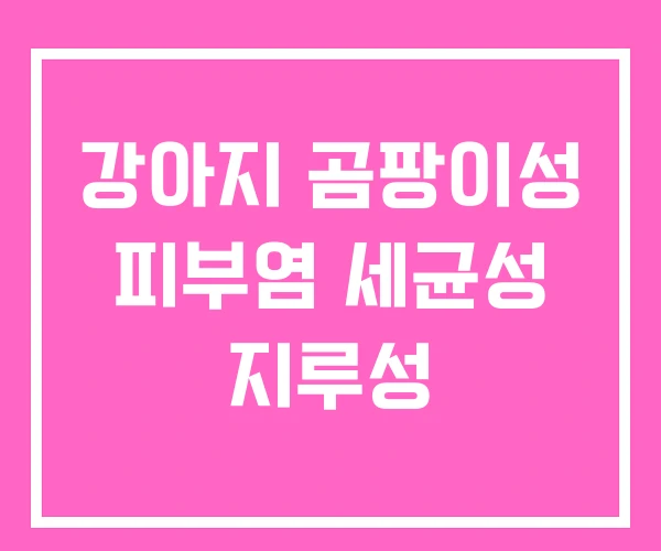 강아지 곰팡이성 피부염 세균성 지루성 강아지 곰팡이성 피부염 세균성 지루성