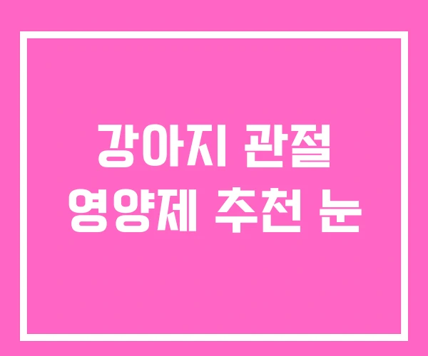 강아지 관절 영양제 추천 눈