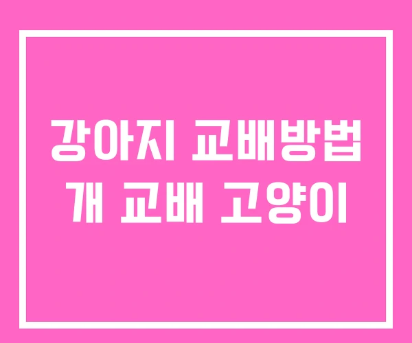 강아지 교배방법 개 교배 고양이