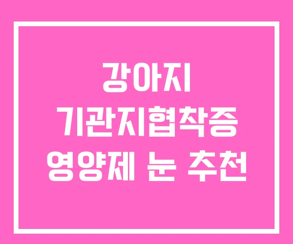 강아지 기관지협착증 영양제 눈 추천