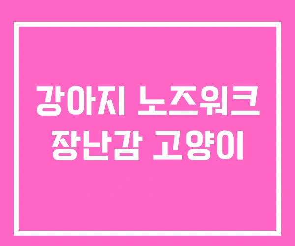 강아지 노즈워크 장난감 고양이