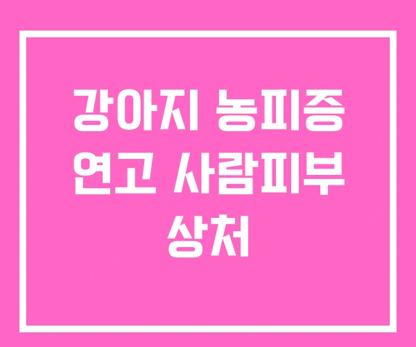 강아지 농피증 연고 사람피부 상처