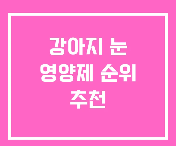 강아지 눈 영양제 순위 추천