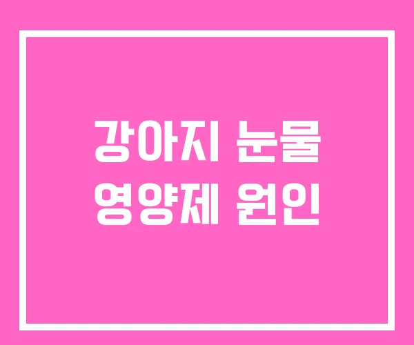 강아지 눈물 영양제 원인 강아지 눈물 영양제 원인