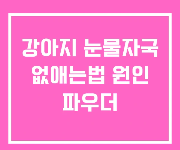 강아지 눈물자국 없애는법 원인 파우더