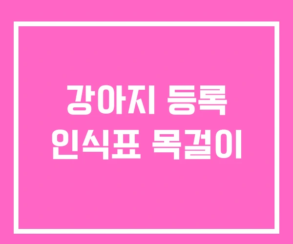 강아지 등록 인식표 목걸이