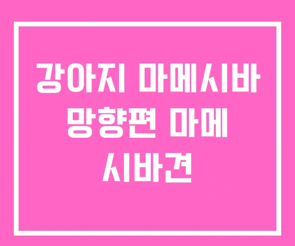 강아지 마메시바 망향편 마메 시바견