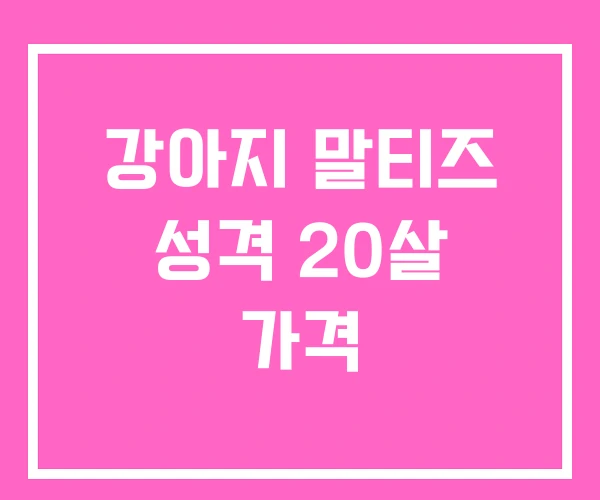 강아지 말티즈 성격 20살 가격 강아지 말티즈 성격 20살 가격