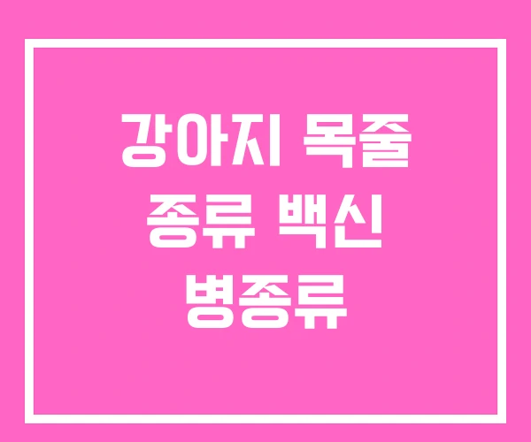 강아지 목줄 종류 백신 병종류