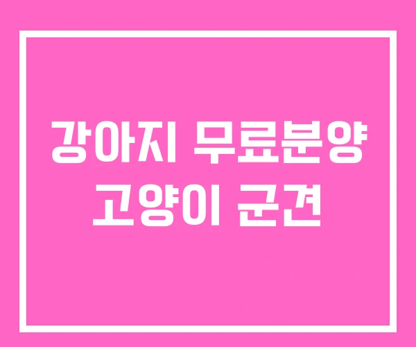 강아지 무료분양 고양이 군견