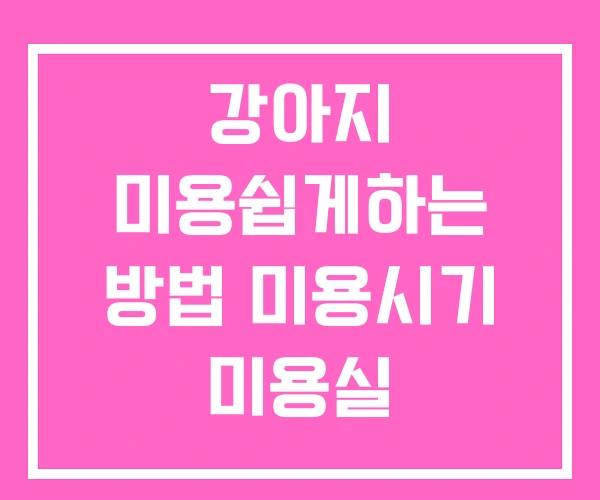 강아지 미용쉽게하는 방법 미용시기 미용실