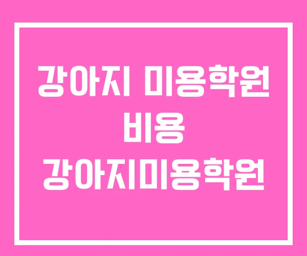 강아지 미용학원 비용 강아지미용학원