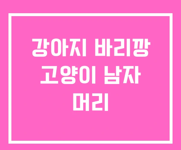 강아지 바리깡 고양이 남자 머리 강아지 바리깡 고양이 남자 머리