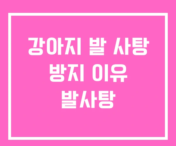 강아지 발 사탕 방지 이유 발사탕