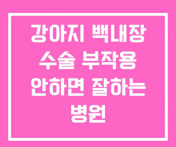 강아지 백내장 수술 부작용 안하면 잘하는 병원