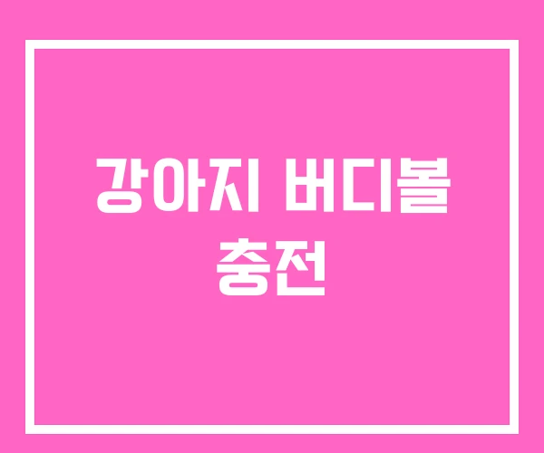 강아지 버디볼 충전