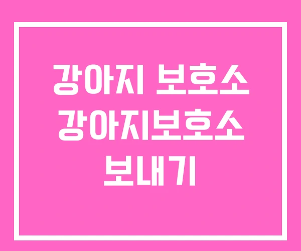 강아지 보호소 강아지보호소 보내기 강아지 보호소 강아지보호소 보내기