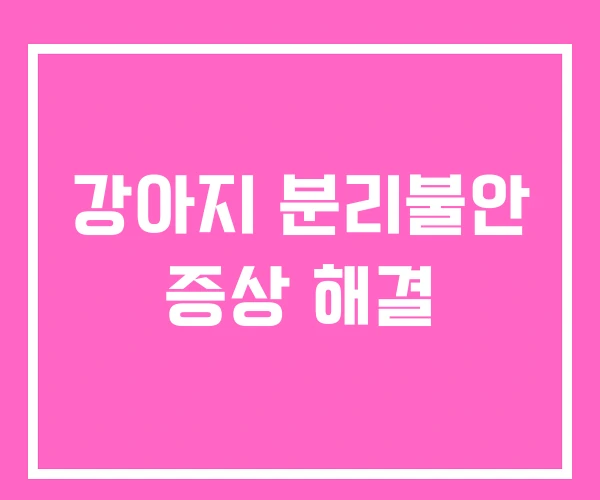 강아지 분리불안 증상 해결