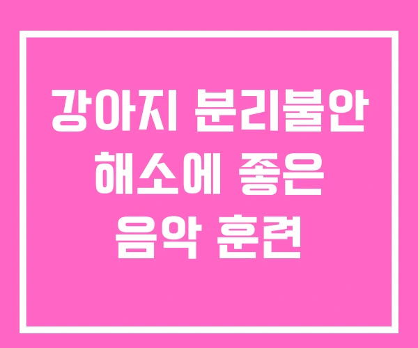 강아지 분리불안 해소에 좋은 음악 훈련