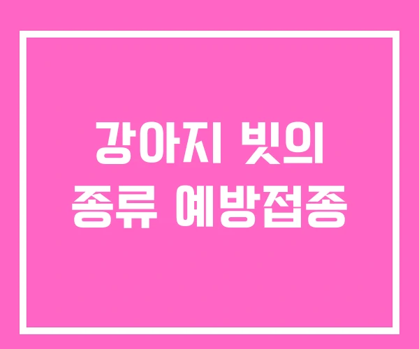 강아지 빗의 종류 예방접종 강아지 빗의 종류 예방접종