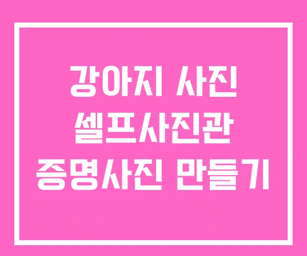 강아지 사진 셀프사진관 증명사진 만들기