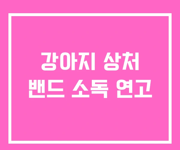 강아지 상처 밴드 소독 연고 강아지 상처 밴드 소독 연고