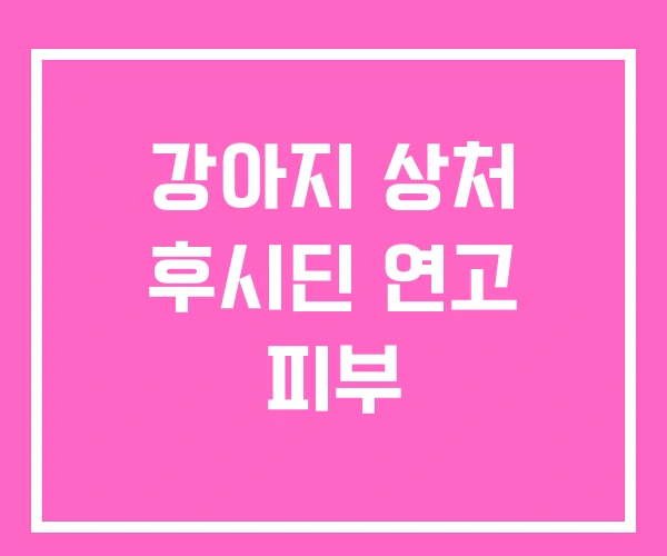 강아지 상처 후시딘 연고 피부