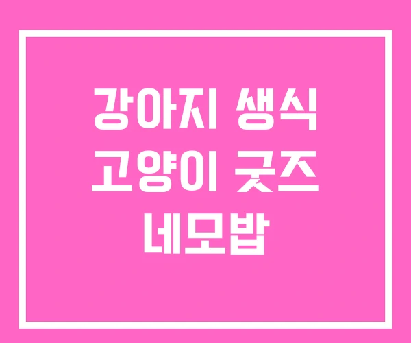 강아지 생식 고양이 굿즈 네모밥 강아지 생식 고양이 굿즈 네모밥