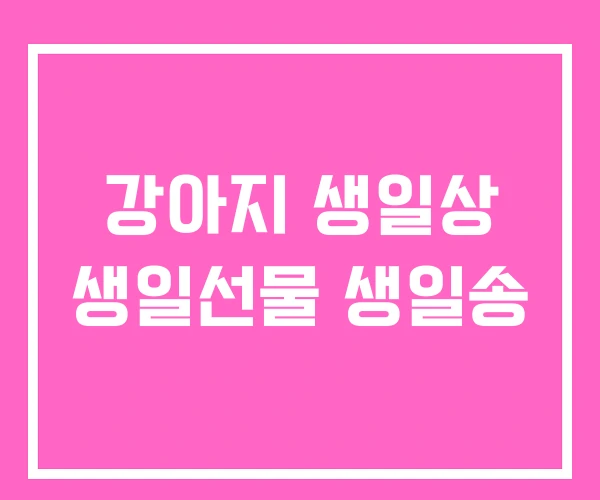 강아지 생일상 생일선물 생일송 강아지 생일상 생일선물 생일송