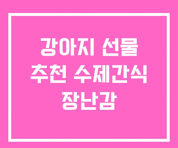 강아지 선물 추천 수제간식 장난감